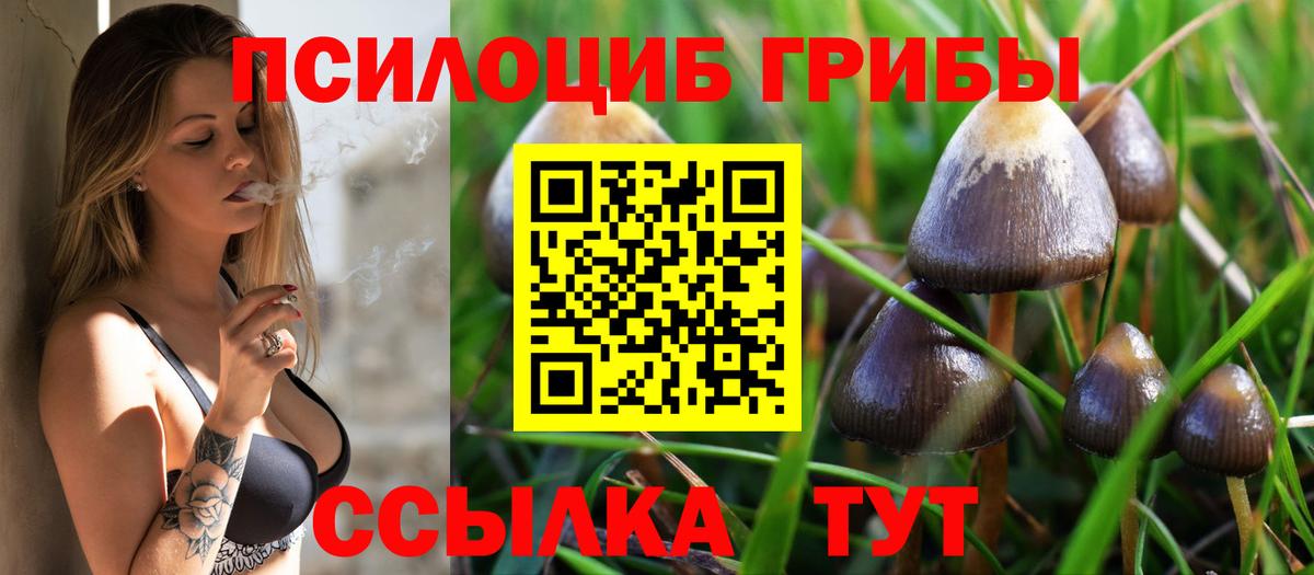 Псилоцибиновые грибы MAGIC MUSHROOMS  Вход с VPN  Асино 